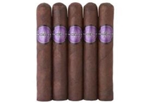 Helix 550 Maduro Cigars