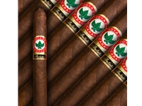 Joya De Nicaragua Antano Lancero Cigars