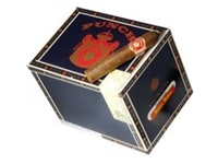 Punch Rothschild Maduro Cigars