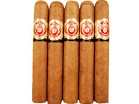 Punch Grand Cru Robusto Natural Cigars