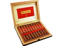 Rocky Patel Sungrown Toro Cigars