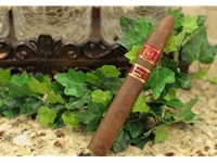 Rocky Patel Vintage 1992 Torpedo Cigars