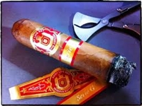 Saint Luis Rey Serie G #6 Natural Cigars